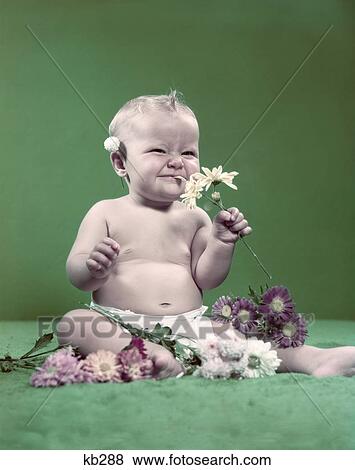 Baby Flowers Smile Diaper View Large Photo Image Stock Photo - Baby Flowers Smile Diaper . Fotosearch