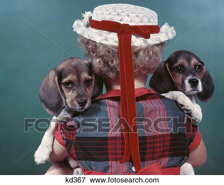 Close-Up Rearview Of Little Girl With Straw Hat Holding Two Beagle Puppies 1950S Studio View Large Photo Image Stock Photo - Close-Up Rearview Of Little Girl With Straw Hat Holding Two Beagle Puppies 1950S Studio . Fotosearch