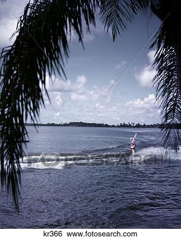 Florida Cypress Gardens View Large Photo Image Stock Photograph - Florida Cypress Gardens. Fotosearch
