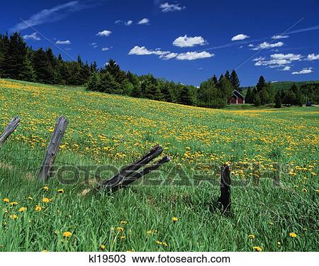 Stock Image - Near Colebrook New Hampshire . Fotosearch