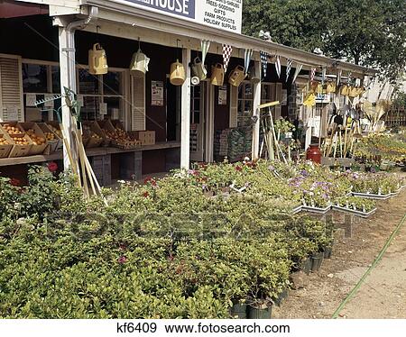 1960 1960S Flowers Garden Store Country Market View Large Photo Image Stock Photo - 1960 1960S Flowers Garden Store Country Market . Fotosearch
