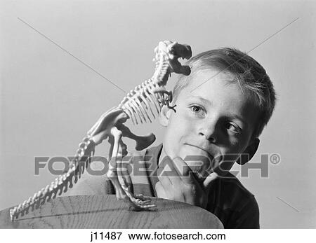 1960S Blonde Boy Hand On Chin Looking At Skeleton Model Of Dinosaur Tyrannosaurus Rex View Large Photo Image Stock Photo - 1960S Blonde Boy Hand On Chin Looking At Skeleton Model Of Dinosaur Tyrannosaurus Rex . Fotosearch