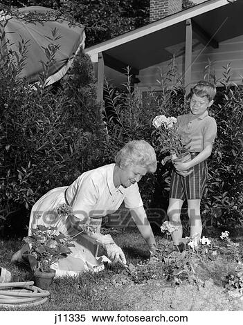1960S Boy Helping Grandmother Plant Flowers In Garden View Large Photo Image Stock Photography - 1960S Boy Helping Grandmother Plant Flowers In Garden . Fotosearch