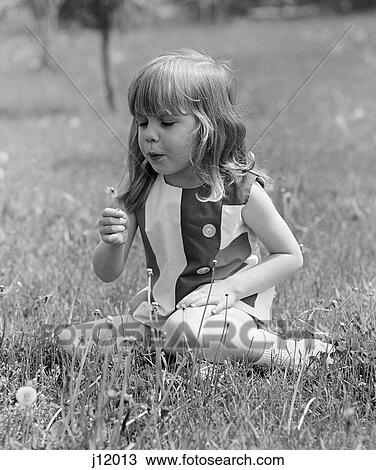 Stock Image - 1960S Girl Sitting In Field Blowing On Dead Dandelion . Fotosearch