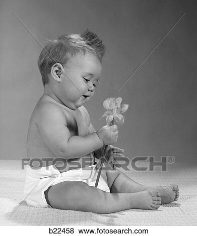 1960S Smiling Baby In Diaper Sitting Full Figure Holding Daffodil Flower Spring Smell Fragrance Aroma View Large Photo Image Stock Photo - 1960S Smiling Baby In Diaper Sitting Full Figure Holding Daffodil Flower Spring Smell Fragrance Aroma . Fotosearch