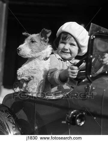 1930s child sitting in car with dog toy steering View Large Photo Image Stock Image - 1930s child sitting in car with dog toy steering. Fotosearch