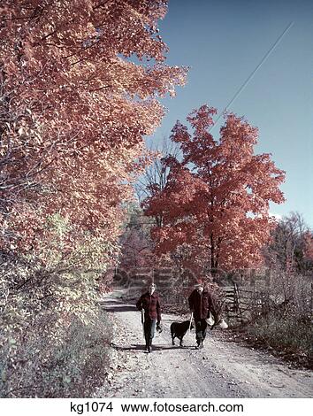 1950s 1960s senior couple man woman walking autumn country road hunting clothes shotguns dog pheasant View Large Photo Image Picture - 1950s 1960s senior couple man woman walking autumn country road hunting clothes shotguns dog pheasant. Fotosearch