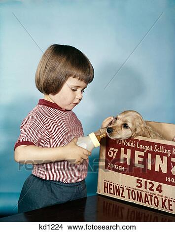 Picture - 1950s 1960s serious little girl trying to feed cocker spaniel sitting in heinz ketchup box a baby bottle of milk studio. Fotosearch