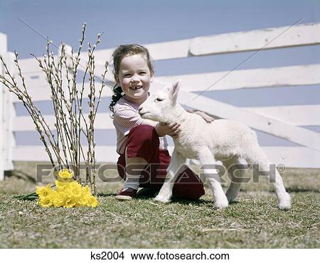 Picture - 1950s 1960s smiling girl holding spring lamb fence daffodils pussy willow. Fotosearch