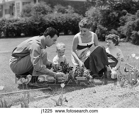 1950s family in garden plants flowers View Large Photo Image Stock Photography - 1950s family in garden plants flowers. Fotosearch