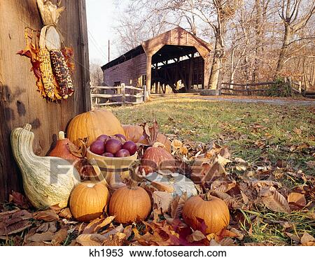1960s autumn scenic of covered bridge with harvest vegetable display in foreground View Large Photo Image Stock Image - 1960s autumn scenic of covered bridge with harvest vegetable display in foreground. Fotosearch
