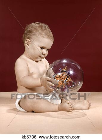 1960s baby sitting holding clear toy ball with butterflies inside View Large Photo Image Stock Photograph - 1960s baby sitting holding clear toy ball with butterflies inside. Fotosearch