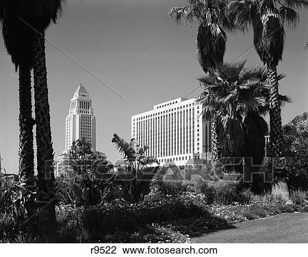Stock Image - 1960s city hall post office courthouse los angeles palm trees in foreground city government building macarthur park. Fotosearch