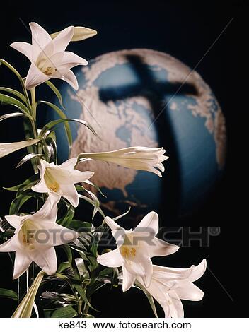 1960s easter lilies and shadow of cross on a globe of the earth View Large Photo Image Stock Image - 1960s easter lilies and shadow of cross on a globe of the earth. Fotosearch