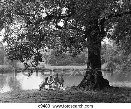 1960s family picnic by tree pond lake View Large Photo Image Stock Image - 1960s family picnic by tree pond lake. Fotosearch