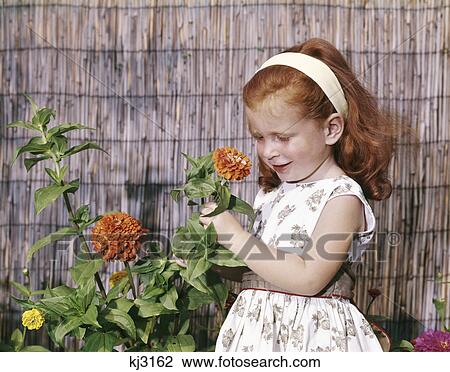 1960s little girl smelling picking flower orange zinnia View Large Photo Image Stock Image - 1960s little girl smelling picking flower orange zinnia. Fotosearch
