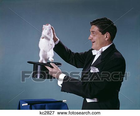 Stock Photo - 1960s magician wearing black tuxedo smiling pulling white rabbit out of top hat. Fotosearch