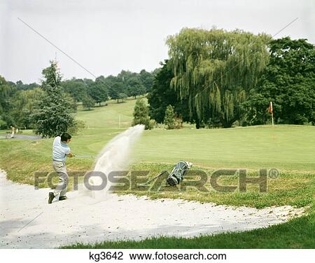 Stock Image - 1960s man golfer hitting ball out of sand trap on to green. Fotosearch