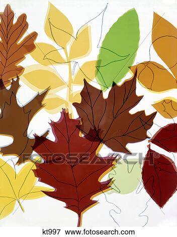 1960s pattern collage autumn leaves View Large Photo Image Stock Photo - 1960s pattern collage autumn leaves. Fotosearch