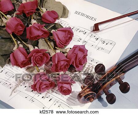 1960s still life violin with bouquet of red roses on top of memories sheet music View Large Photo Image Stock Photo - 1960s still life violin with bouquet of red roses on top of memories sheet music. Fotosearch