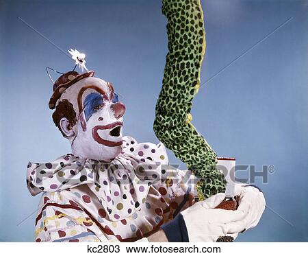 1960s surprised clown polka dot costume letting snake lizard green thing out of box View Large Photo Image Stock Image - 1960s surprised clown polka dot costume letting snake lizard green thing out of box. Fotosearch