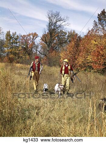 Stock Image - 1960s two men walking in autumn field with hunting dog and rifles. Fotosearch