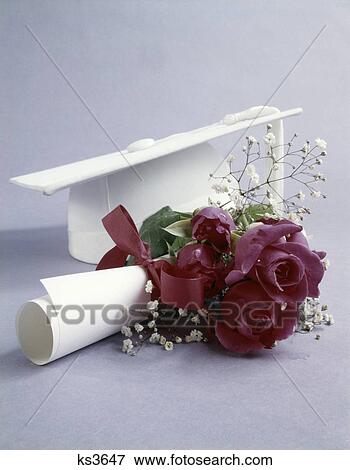 1960s white graduation cap and diploma red roses View Large Photo Image Stock Photo - 1960s white graduation cap and diploma red roses. Fotosearch