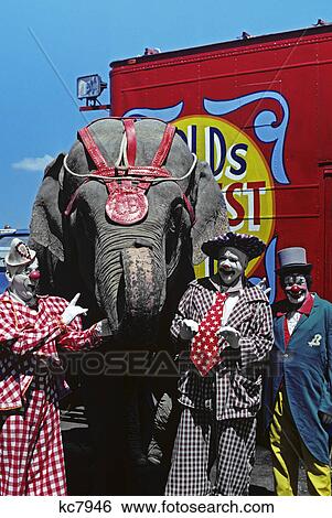 1970s 3 circus clowns with elephant View Large Photo Image Stock Photograph - 1970s 3 circus clowns with elephant. Fotosearch