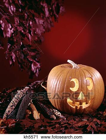 1970s halloween still life with jack-o'-lantern pumpkin dried corn and autumn leaves View Large Photo Image Stock Image - 1970s halloween still life with jack-o'-lantern pumpkin dried corn and autumn leaves. Fotosearch