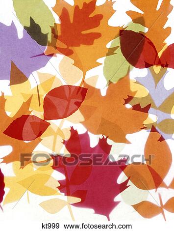1970s paper montage colorful autumn leaves View Large Photo Image Stock Photo - 1970s paper montage colorful autumn leaves. Fotosearch
