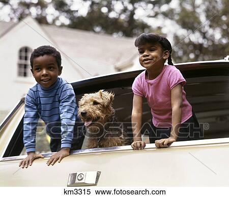 Stock Photography - 1970s smiling african american boy and girl and airedale dog leaning out of station wagon rear window. Fotosearch