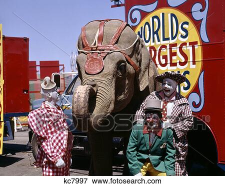 1970s three circus clowns with an elephant View Large Photo Image Stock Photo - 1970s three circus clowns with an elephant. Fotosearch