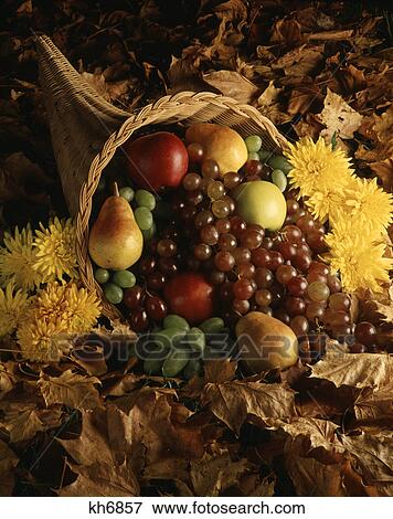 1970s wicker horn of plenty filled with fruit apples pears grapes on top of autumn leaves View Large Photo Image Stock Photo - 1970s wicker horn of plenty filled with fruit apples pears grapes on top of autumn leaves. Fotosearch