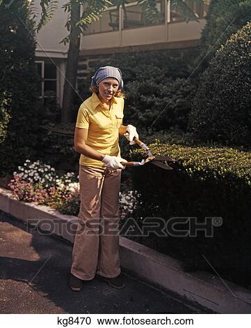 1970s woman using garden clippers trimming boxwood hedge wearing bellbottoms View Large Photo Image Stock Image - 1970s woman using garden clippers trimming boxwood hedge wearing bellbottoms. Fotosearch