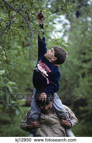 1980s boy on father's shoulders reaching for an apple View Large Photo Image Stock Image - 1980s boy on father's shoulders reaching for an apple. Fotosearch
