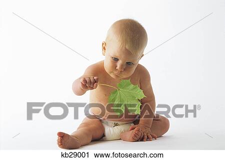 1990s baby in diaper holding green leaf View Large Photo Image Stock Image - 1990s baby in diaper holding green leaf. Fotosearch