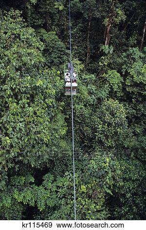 Stock Photo - aerial tram in rainforest costa rica. Fotosearch