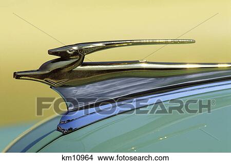 antique hood ornaments View Large Photo Image Picture - antique hood ornaments. Fotosearch