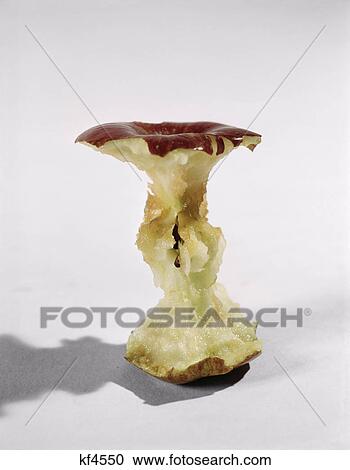 apple eaten down to its core still life View Large Photo Image Stock Image - apple eaten down to its core still life. Fotosearch