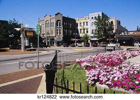 asheville, nc flowerbed in park downtown View Large Photo Image Stock Image - asheville, nc flowerbed in park downtown. Fotosearch