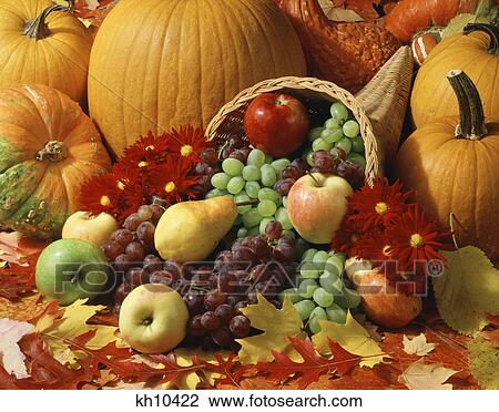 autumn harvest cornucopia View Large Photo Image Stock Image - autumn harvest cornucopia. Fotosearch