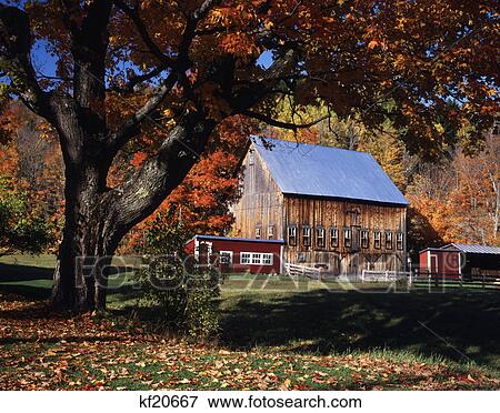 autumn scene wooden barn near east orange vermont View Large Photo Image Stock Photo - autumn scene wooden barn near east orange vermont. Fotosearch