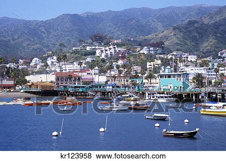 Stock Photo - avalon, catalina island, ca town and boats in harbor. Fotosearch