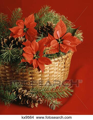 basket christmas flowers pine cones View Large Photo Image Picture - basket christmas flowers pine cones. Fotosearch