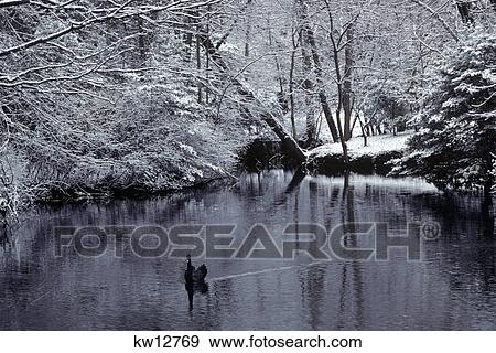 black swan in pond with snow View Large Photo Image Stock Photo - black swan in pond with snow. Fotosearch