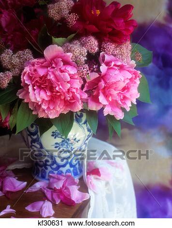 bouquet of peonies in blue and white vase View Large Photo Image Stock Image - bouquet of peonies in blue and white vase. Fotosearch