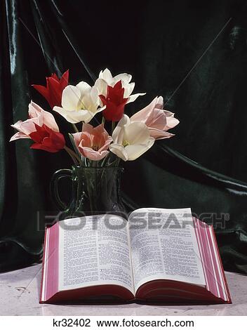 bouquet red white and pink tulips on green background with bible open to the book of psalms View Large Photo Image Stock Image - bouquet red white and pink tulips on green background with bible open to the book of psalms. Fotosearch