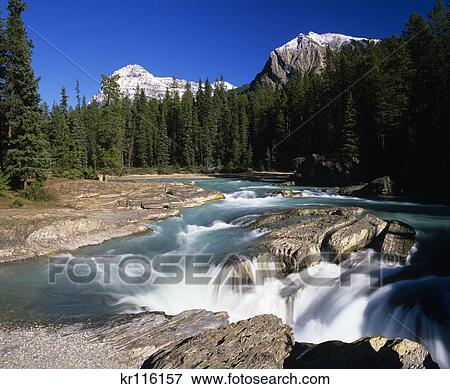 british columbia canada yoho national park kicking horse river falls View Large Photo Image Stock Photo - british columbia canada yoho national park kicking horse river falls. Fotosearch