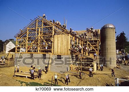 Building A Barn Amish Country Pennsylvania Stock Photo Kr70069