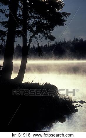 charleston lake trail deschutes national forest View Large Photo Image Stock Photograph - charleston lake trail deschutes national forest. Fotosearch